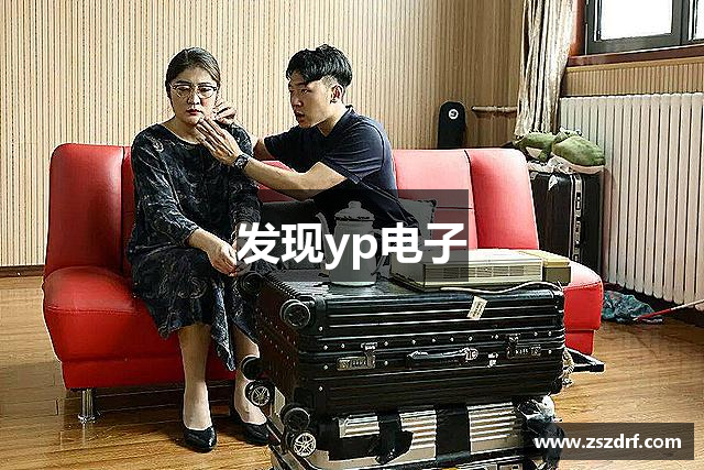 发现yp电子